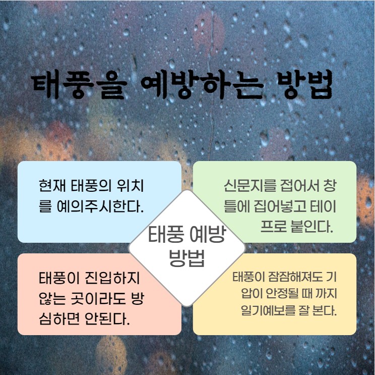 카드뉴스 3