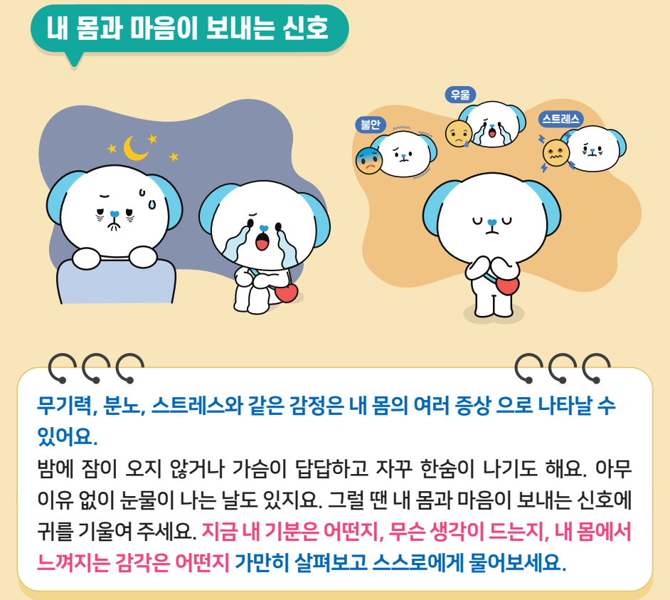 화면 캡처 2025-06-26 114746